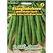 Produktbild Stangenbohnen, Quedlinburger Speck