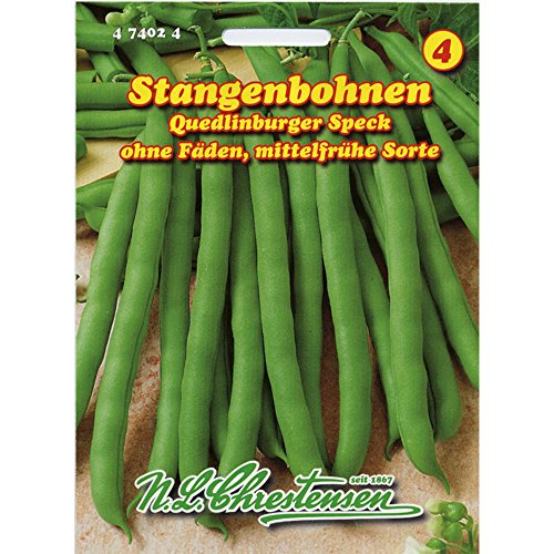 Stangenbohnen Quedlinburger Speck mittelfrüh grün ohne Fäden