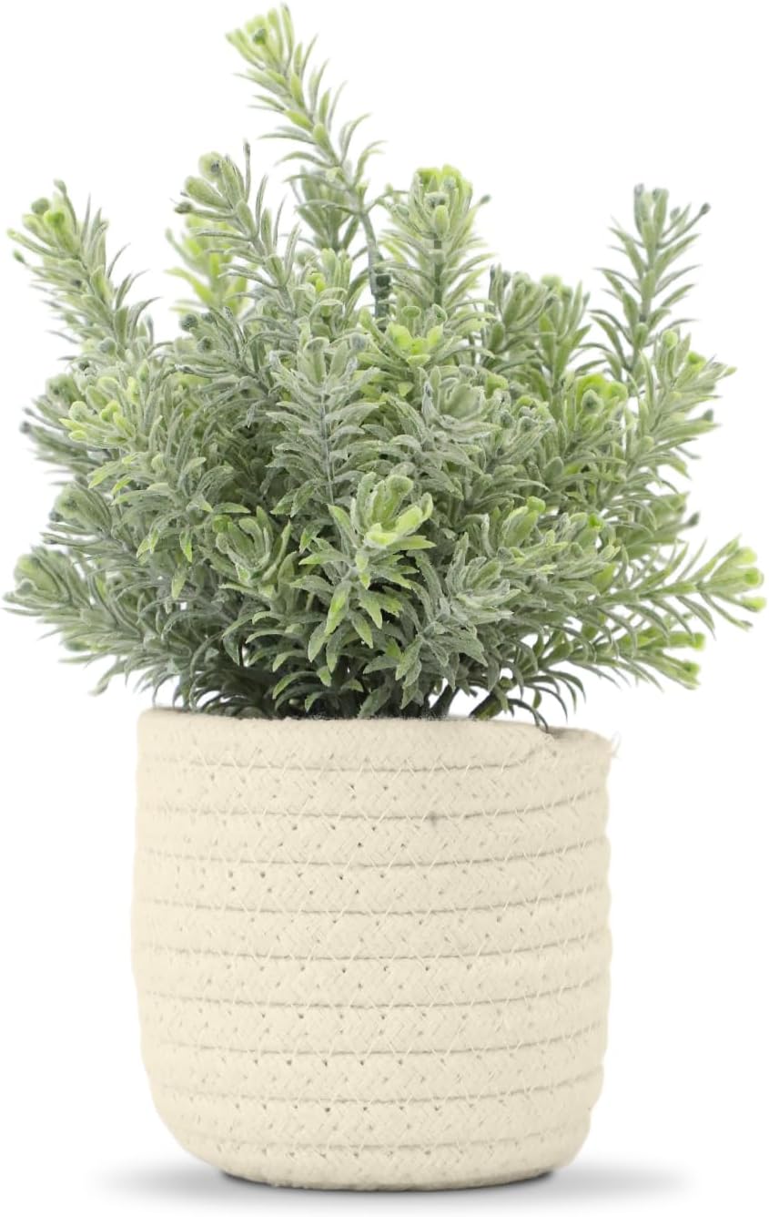 Hopewood Small Artificial Plants Eucalyptus with a Weave Basket Potted Plants for Home Office Desk Farmhouse Indoor Decor
