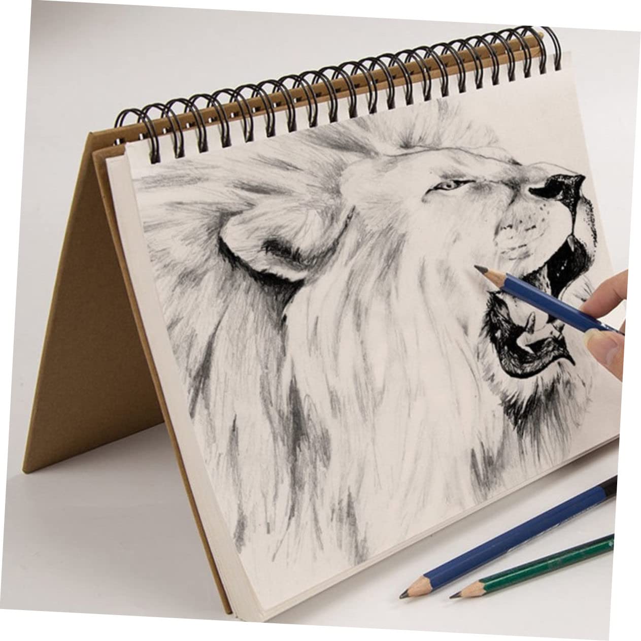 Gogogmee 1pezzi Blocco da Disegno Spirale Carta Bianca Vuota Blocco da Disegno Rilegatura Resistente Pagina Vuota per Pittura Scrittura Creativa al Sicuro