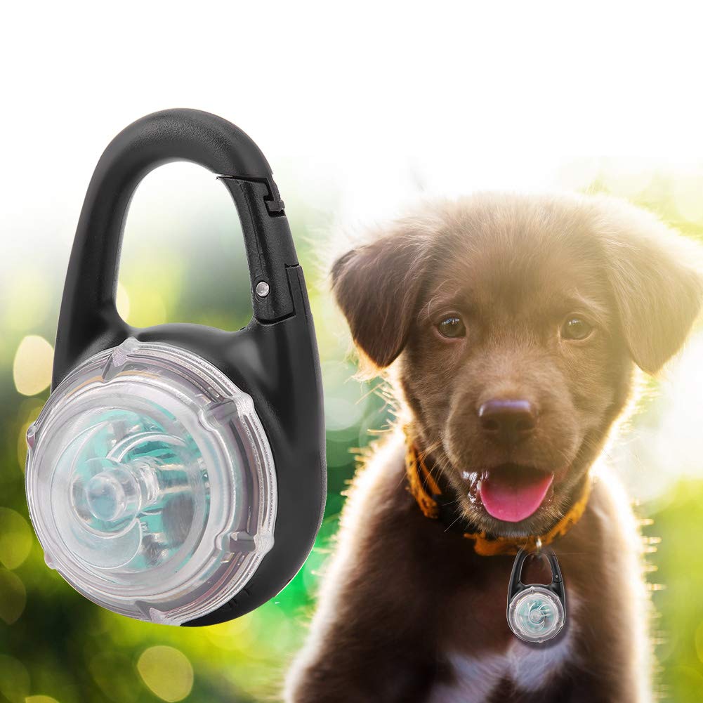 Naszyjnik LED Pet Dog Naszyjnik Świecący kołnierz Pies Luminous Night Walking Light Wisiorek bezpieczeństwa Pet Safety Stroboskop Naszyjnik Światła do chodzenia Ostrzeżenie(siedem kolorów)