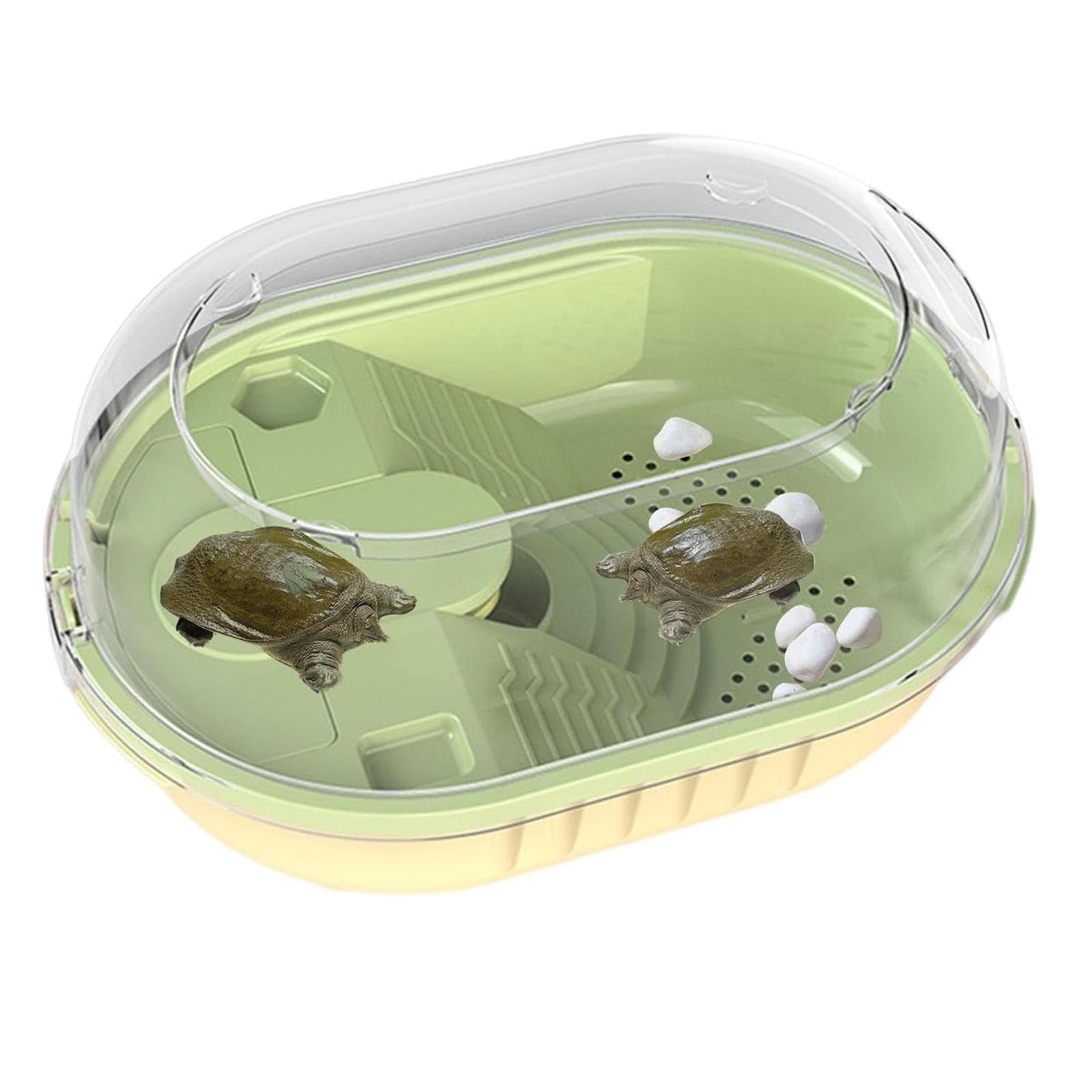 Acquario Per Tartarughe - Acquario Per Tartarughe Con Coperchio | Scatola Di Alimentazione Per Rettili, Scatola Per Allevamento, Acquario Per Rettili, Habitat Per Rettili Per Animali Domestici,M