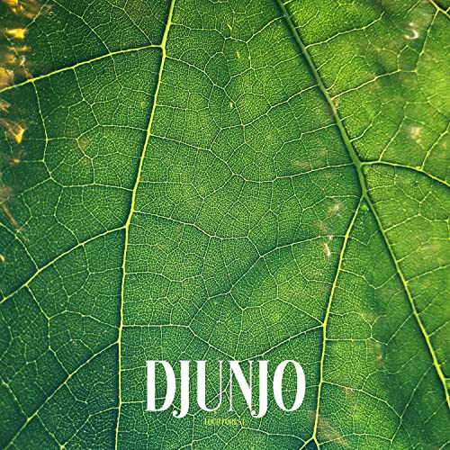 Djunjo