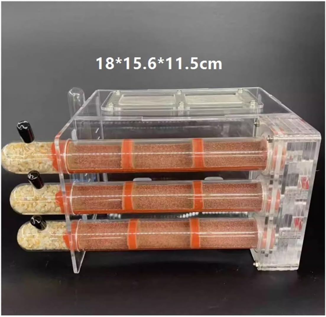 Ant Farm Ant Farm Nest Ecological Test Tube with Water Tower Castle Habitat