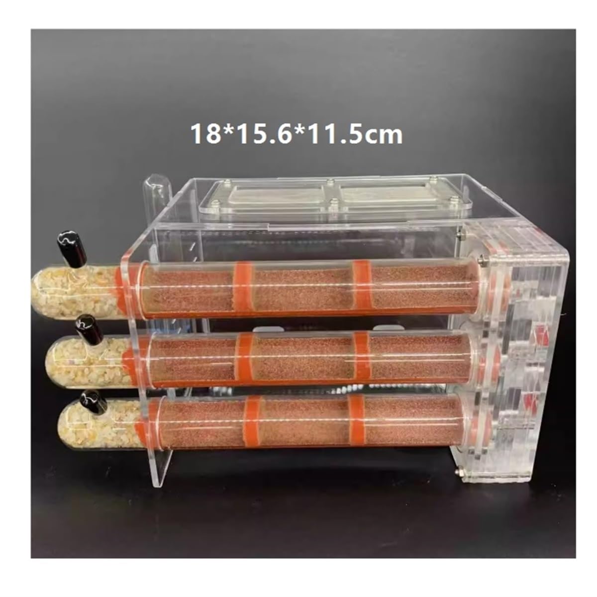 Formicarium Hormiga Hormiguero, Ecológico, Tubo De Ensayo, Nido con Torre Agua, Castillo Hormigas Granja Hormigas