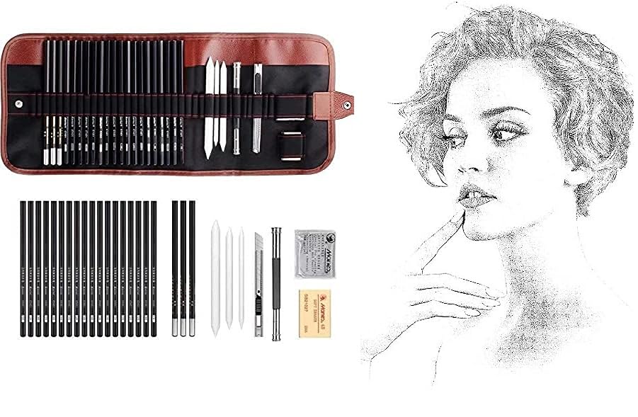 BITTZOOT Drawing Sketching Pencil Set,29-Piece Complete Artist Kit Includes Graphite Pencils,Includes Graphite Pencils,Charcoal Pencils, Paper Erasable Pen, Sketch Pencils Set for Drawing (29 PCS SET)