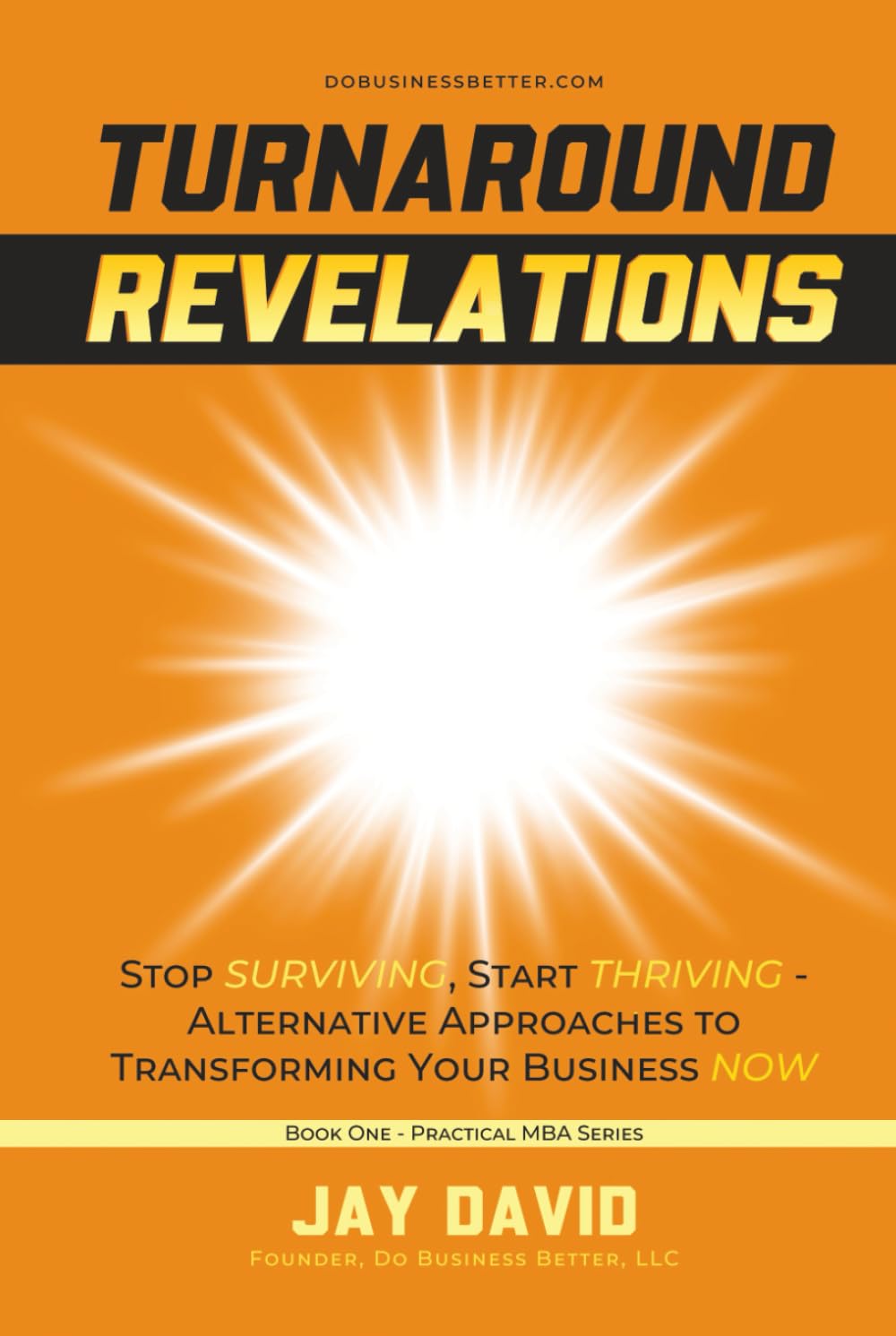 TURNAROUND REVELATIONS: Stop Surviving, Start Thriving - Alternative Approaches to Transforming Your Business NOW