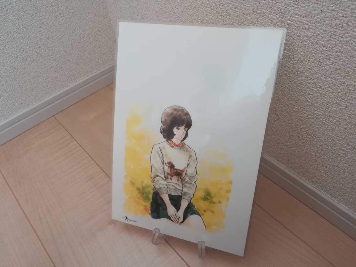 額　あだち充　みゆき　イラスト　額 複製イラスト あだち充 みゆき/タッチ