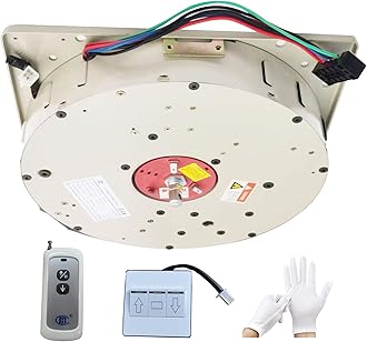 Chandelier Hoist Lifter System, DDJ50 4M Remote Control+Wall Switch Electric Motor Winch Lighting Lifting, 110V-120V Max Capacity 110lbs Hoist Lift (DDJ50 110lbs 4M)