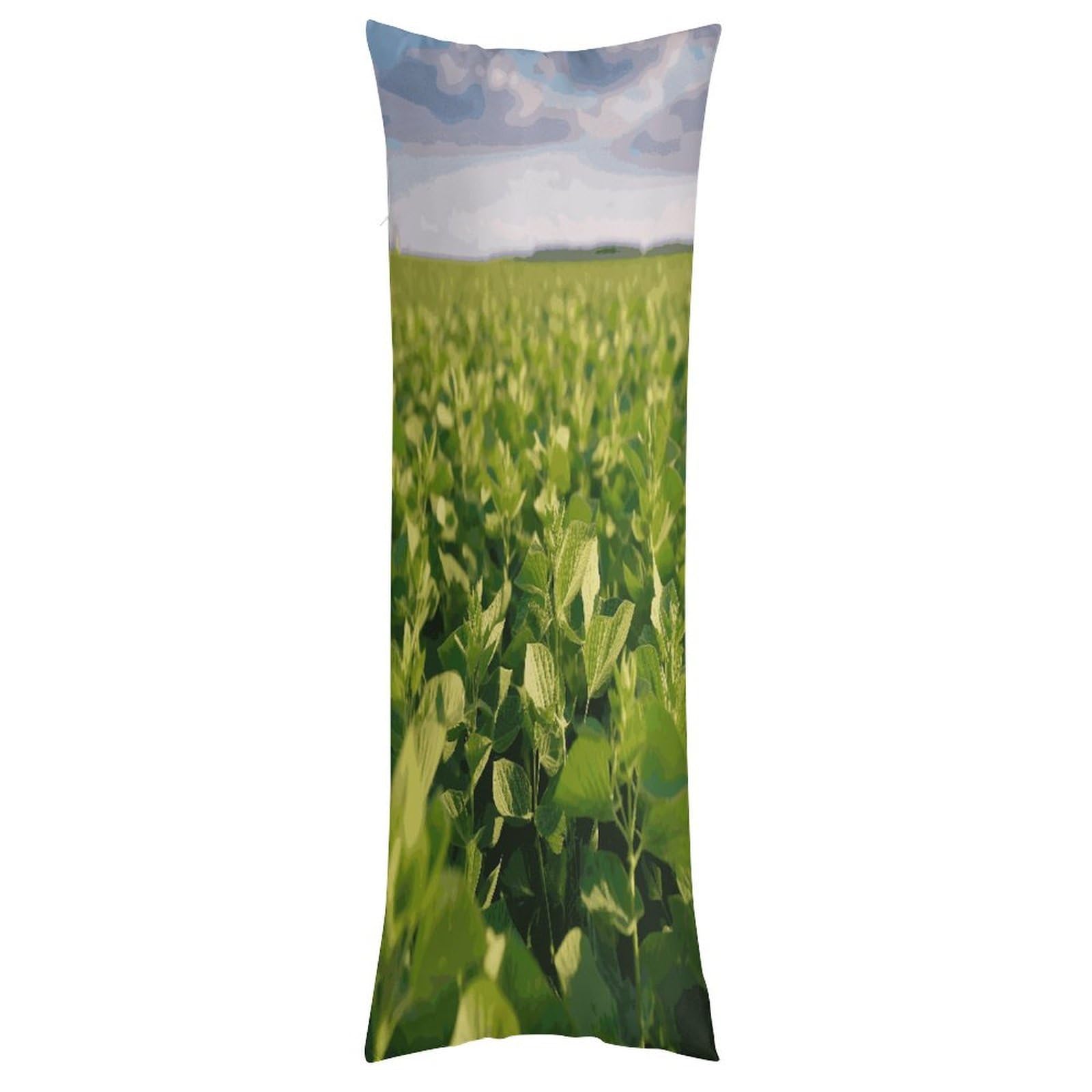 LDGSUPH Soybean Field Pillow Cases Soft Pillowcase with Invisible Zipper Wrinkle Resistant Pillow Covers Breathable Removable Pillow Protector for Bed Sofa Car 20"x54"