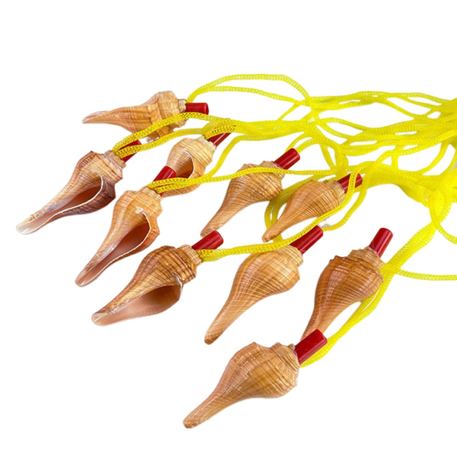 Amazon.co.jp: 10個 貝笛 面白い笛 子供の誕生日パーティーの好意