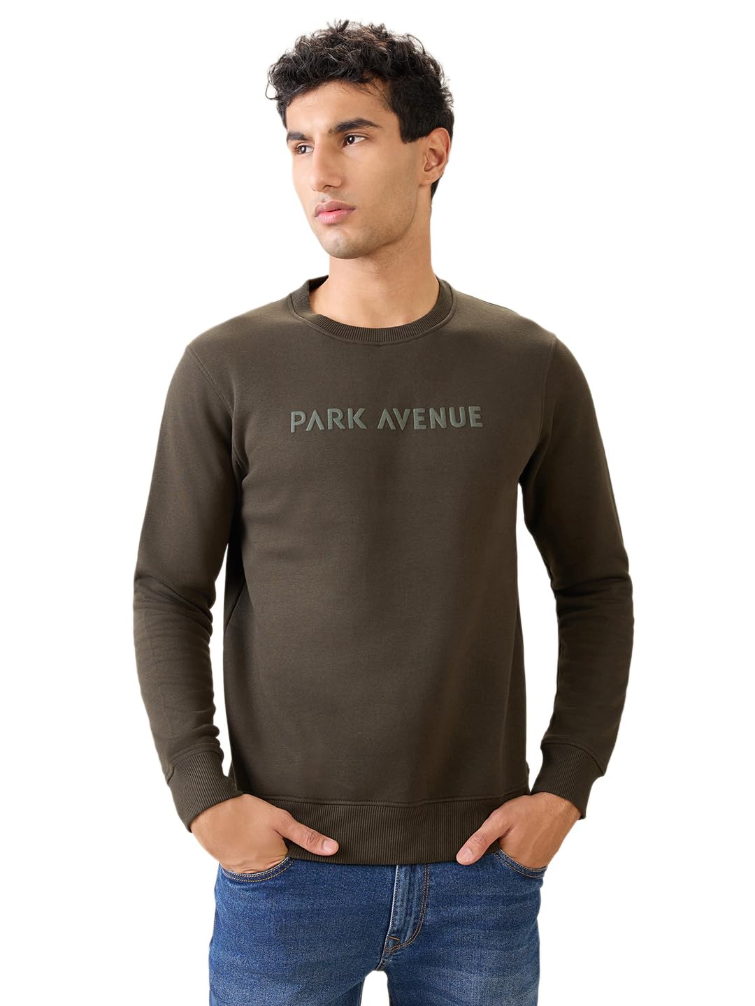 Park Avenue Men Full Sleeve Slim Fit Solid Pattern Cotton Polyester Blend Regular Neck Regular Neck Casual Sweatshirt