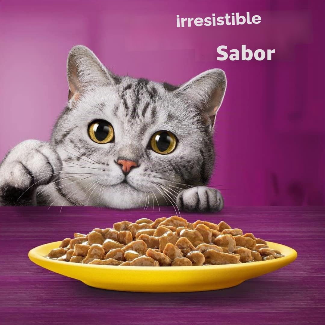 Whiskas 7+ Comida para Gatos de Aves de Corral en Salsa, 12 x 85 g (4 Paquetes) – Comida húmeda Partir de los 7 años de Edad en 48 Bolsas de porciones