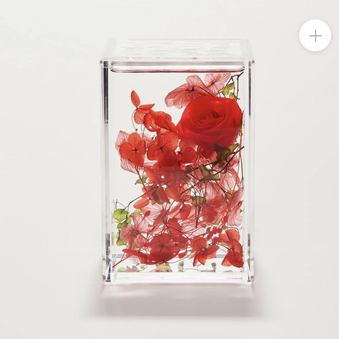 新品 hikka ブルームアクア ブロック ハーバリウム 赤 女性へプレゼント 新品 hikka ブルームアクア ブロック ハーバリウム 赤 女性へ