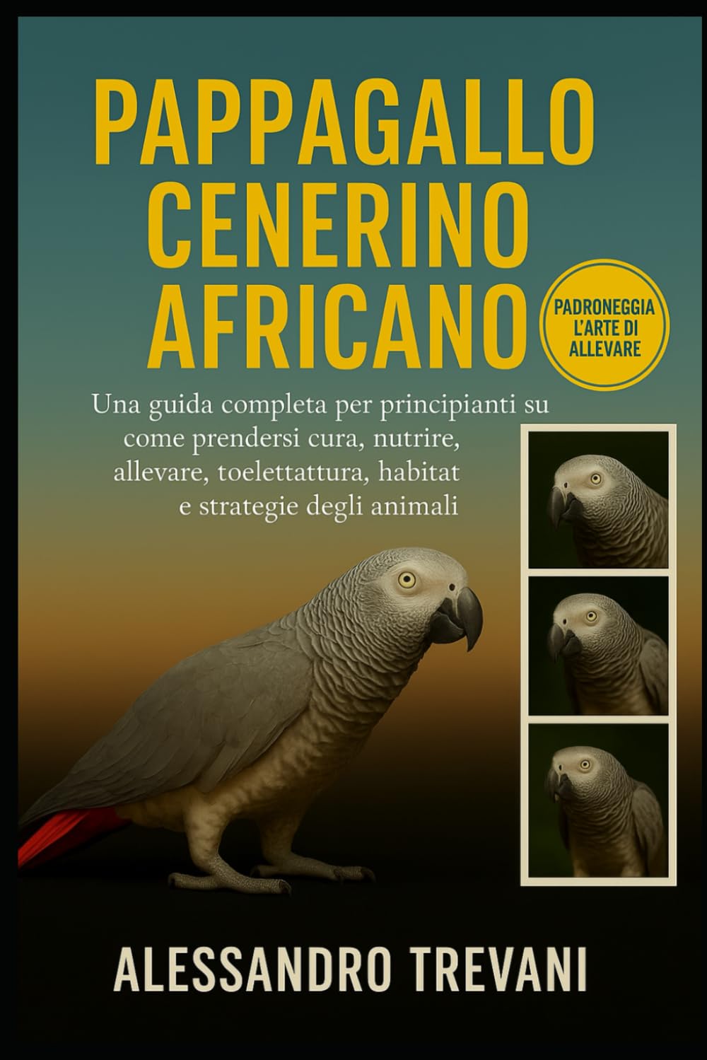 PAPPAGALLO CENERINO AFRICANO: Una guida completa per principianti su come prendersi cura, nutrire, allevare, toelettatura, habitat, salute e strategie