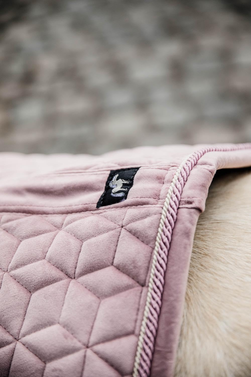 Tapis de selle PONY Vieux rose Velours Saut d'obstacles