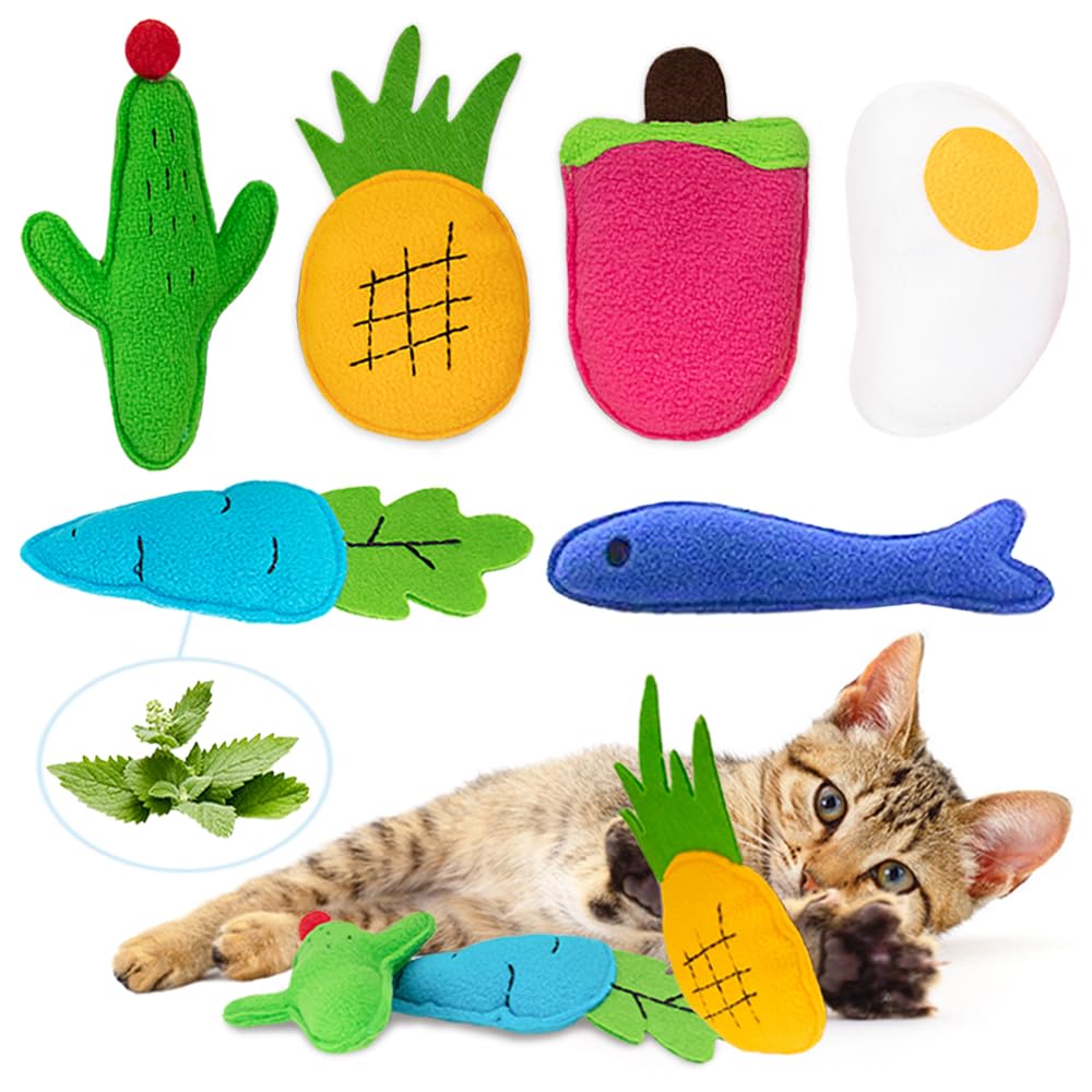 Amazon.com : AWOOF Catnip Toys for Indoor Cats, 6 Pack Cat Chew