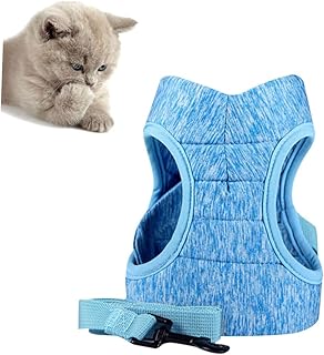 iplusmile Conjunto De Coleira Para Filhotes De Cachorro Para Treinamento De Gato Arnês Para Gato Arnês Para Peito Arnês De Malha Arnês Para Trela Alça Azul Anel De Corrente