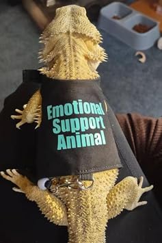 Bearded Dragon Clothes with Leash Set - Handmade Reptile Apparel for Small Pets, Guinea Pigs, and Lizards - Outdoor Walking Training Harness & Photo Prop Costume (Pink)