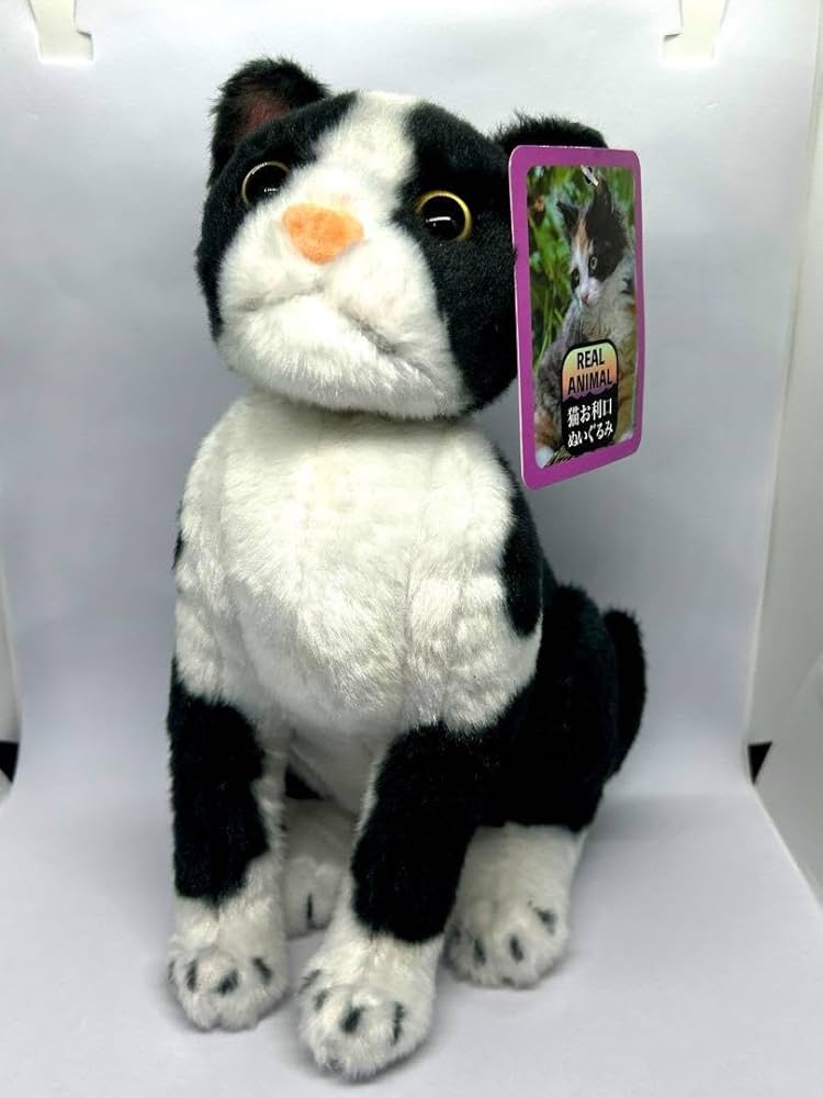 リアルアニマル猫 ぬいぐるみセット Yahoo!オークション - リアルアニマル Cute 子猫ぬいぐるみ3 5種