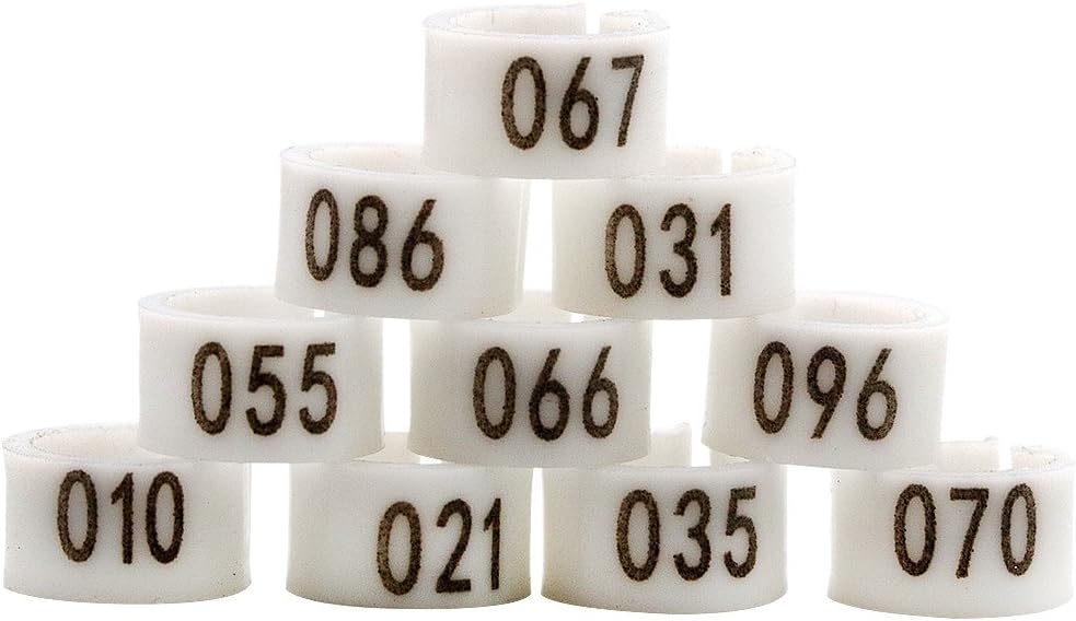 iherdsman 001-100 Multi-color Bird Leg Bands Numbered 8 mm Pigeon Parrot Chicks Leg Band Duck Clip Rings Bands (White)