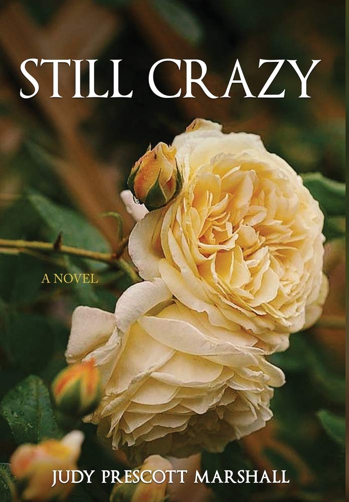 Buy Still Crazy: 1 (Be Strong Enough) — BookShops.in
