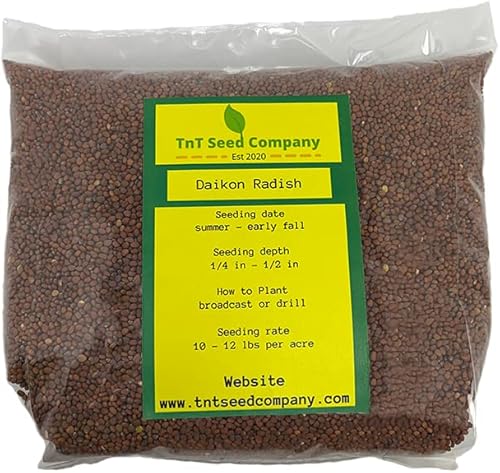 4 lb Rut King Daikon Rábano - Parcelas de comida para ciervos - Brassica - Semillas de parcela de comida