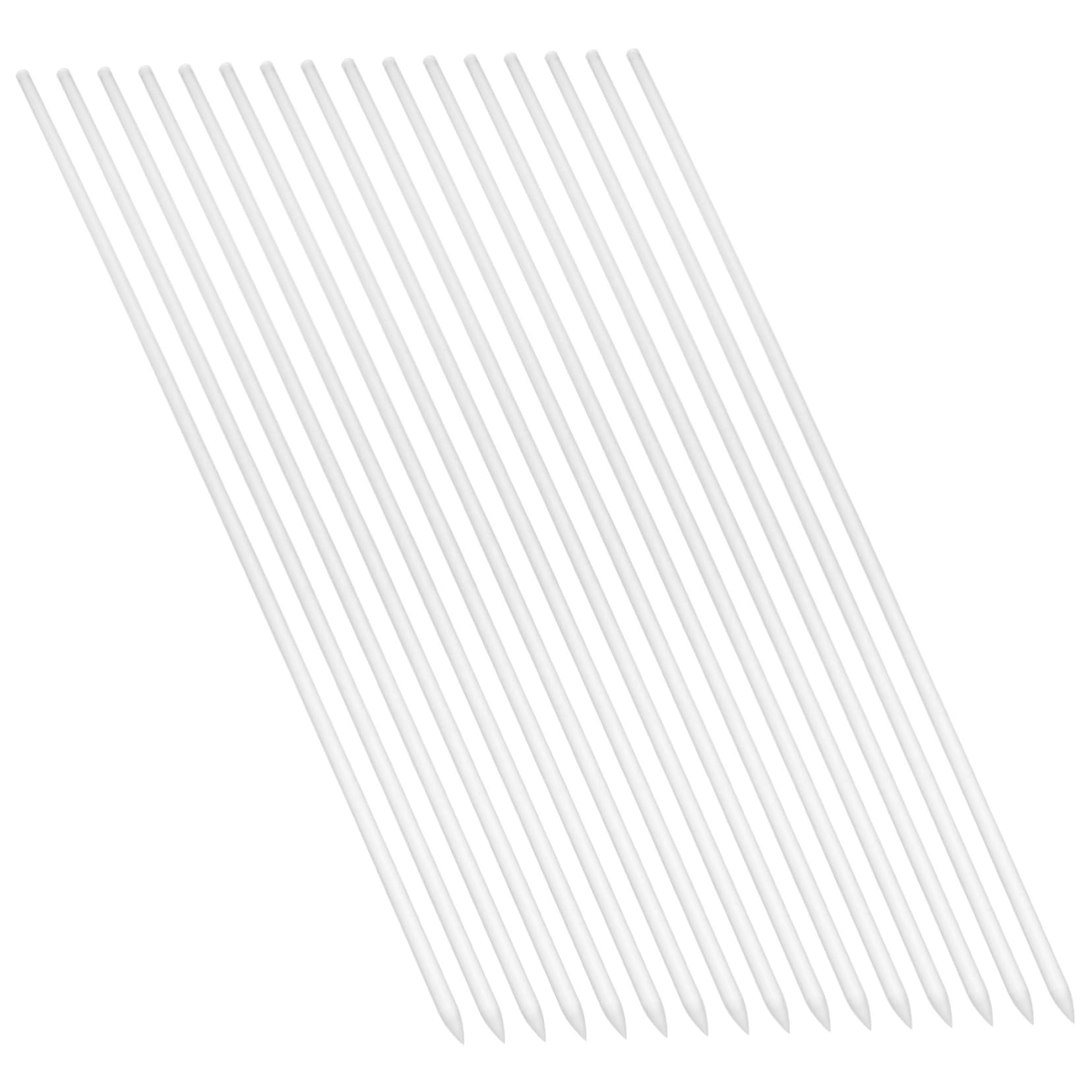 ibasenice 3 Ensembles Piquets De Plantes Acrylique Transparent pour Soutien Vertical des Plantes Grimpantes Outil De Jardinage Pratique 16 Pièces * 3