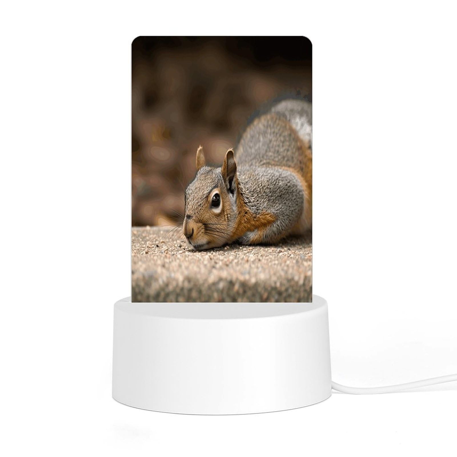 Adfgyerh Style Squirrel Just Laying Night Light Acrylic Material Easy Installation, Home Decor Usb Interface Power Supply, Lamp For Restaurant Bar Cafe Room Decor