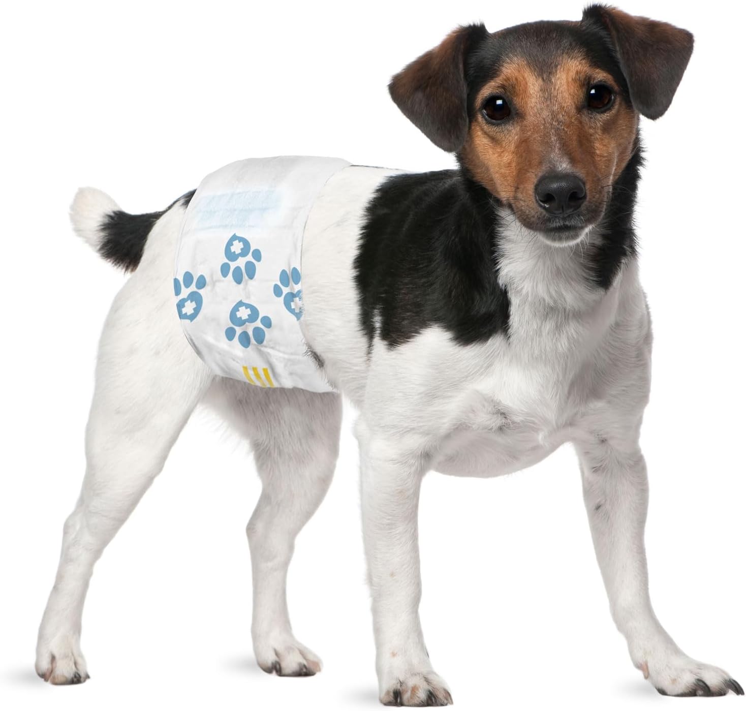 Male Wraps, Disposable Dog Diapers, Carbon, 1-Tab Small, 48 Count - Activated Charcoal, Snag-Free Fastener, Leak Protection, Wetness Indicator