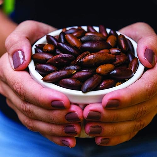 Miniatura 6 de Baru Nuts Roasted, bolsa resellable de 10 onzas  Crujiente y delicioso  Adecuado para dietas veganas, sin gluten, keto, sin maní  Snacks ricos en