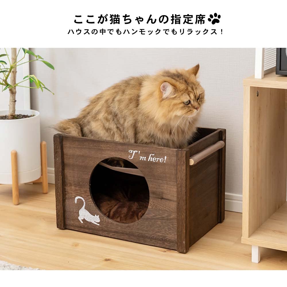 Amazon | コーナンオリジナル LIFELEX 積み重ねのできるキャットハウス