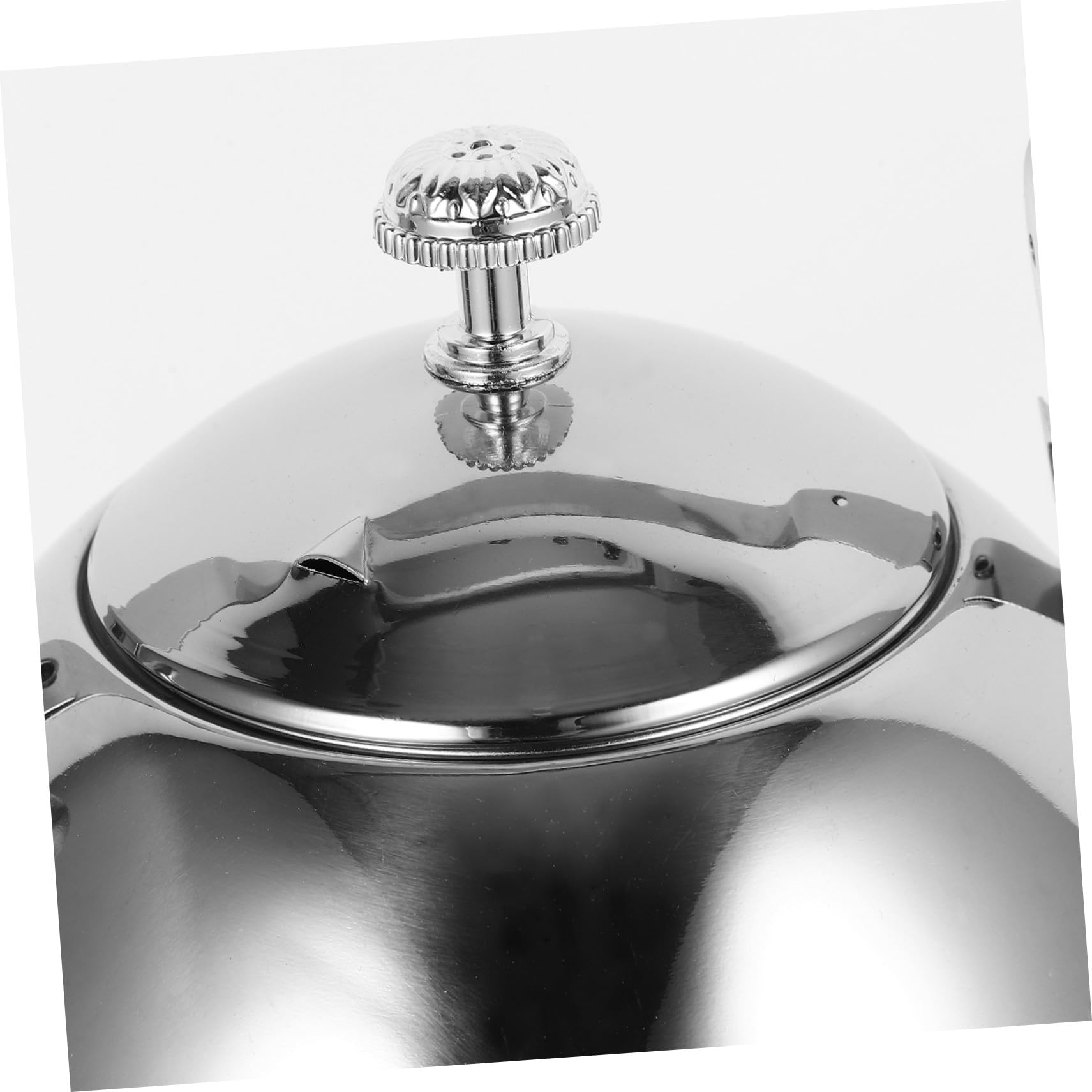 Alipis Théière Acier Inoxydable avec Filtre Amovible et Poignée Bouilloire pour Infusion de Thé Maison et Restaurant Design Classique et Moderne
