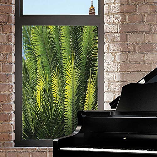 Palm Tree Frosted Window Film Privacy Window,Plam Tree Foliage Tropical Plants Leaves Forest Theme Exotic Natural Beauty Image Light Blocking Window Film Window Privacy Film Removable,Green 24" X 36" #TOP1