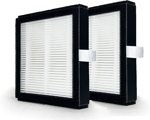 Nispira DH02 - Filtro HEPA de repuesto para purificador de aire Tenergy Sorbi deshumidificadorAfloia AQ8 Q8HonatiHysure Q7, paquete de 2