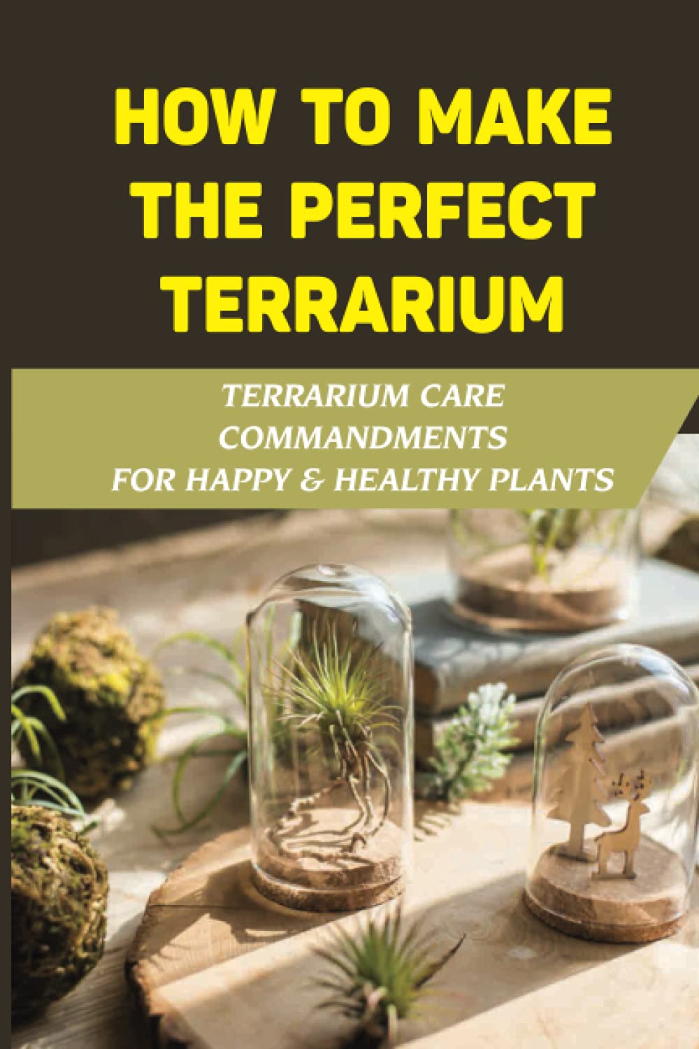 How To Make the Perfect Terrarium: Terrarium Care Commandments For Happy & Healthy Plants: How To Make A Self-Sustaining Ecosystem