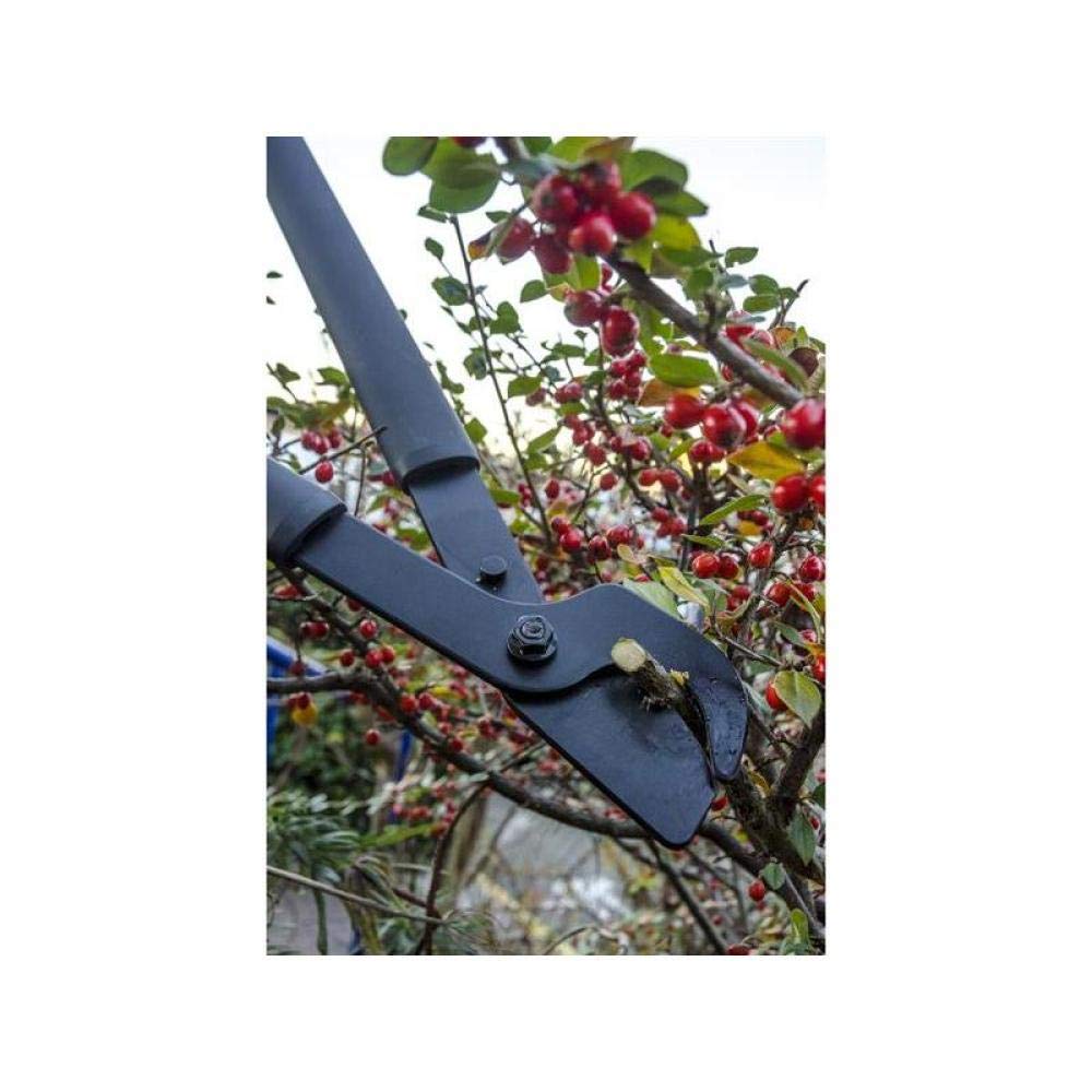 Fiskars