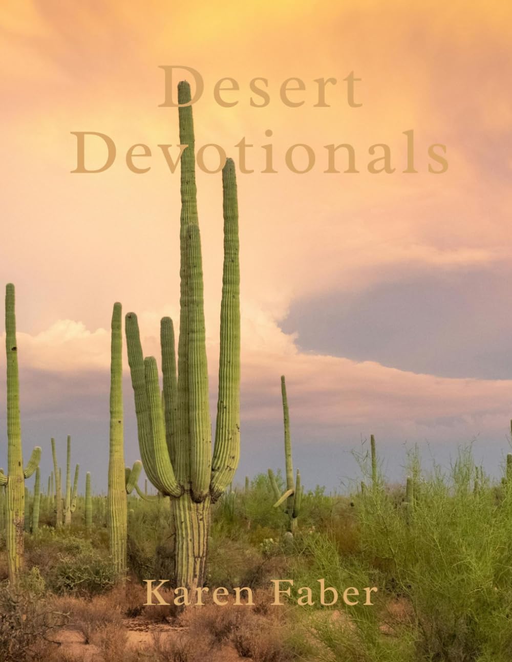 Desert Devotional
