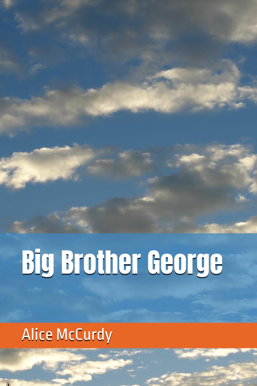 Big Brother George