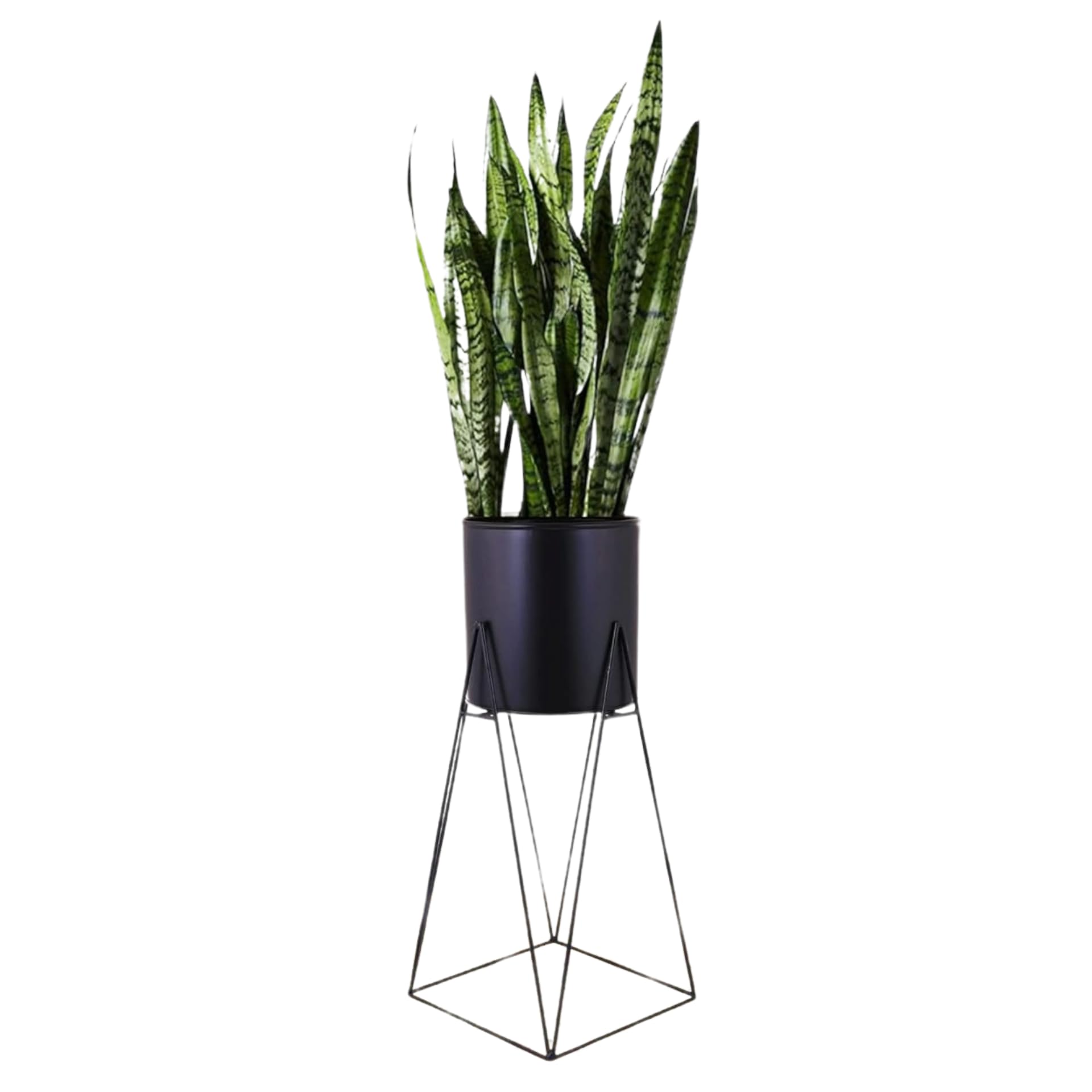See full amazon price history chart for Stand Master Black Color Metal Flower Pot with Modern Style Square Base Stand for Indoor and Outdoor Pot Holder in Small Size (Small -1) Stand Master Black Color Metal Flower Pot with Modern Style Square Base Stand for Indoor and Outdoor Pot Holder in Small Size (Small -1) (B0CRPPKQXM) Amazon Price History, Amazon Price Tracker