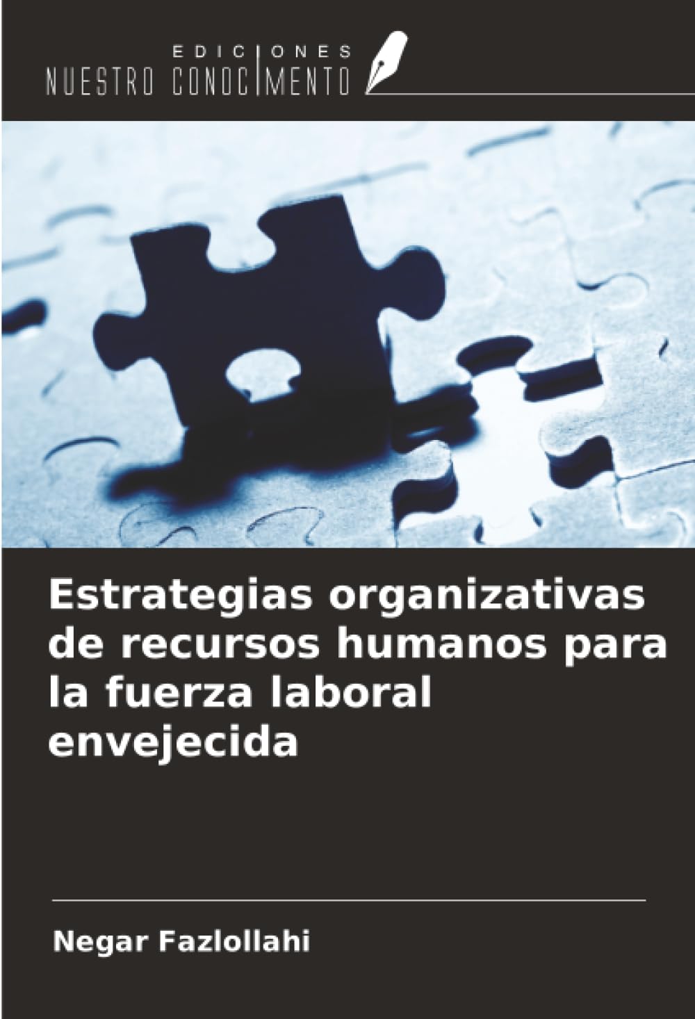 Estrategias organizativas de recursos humanos para la fuerza laboral envejecida