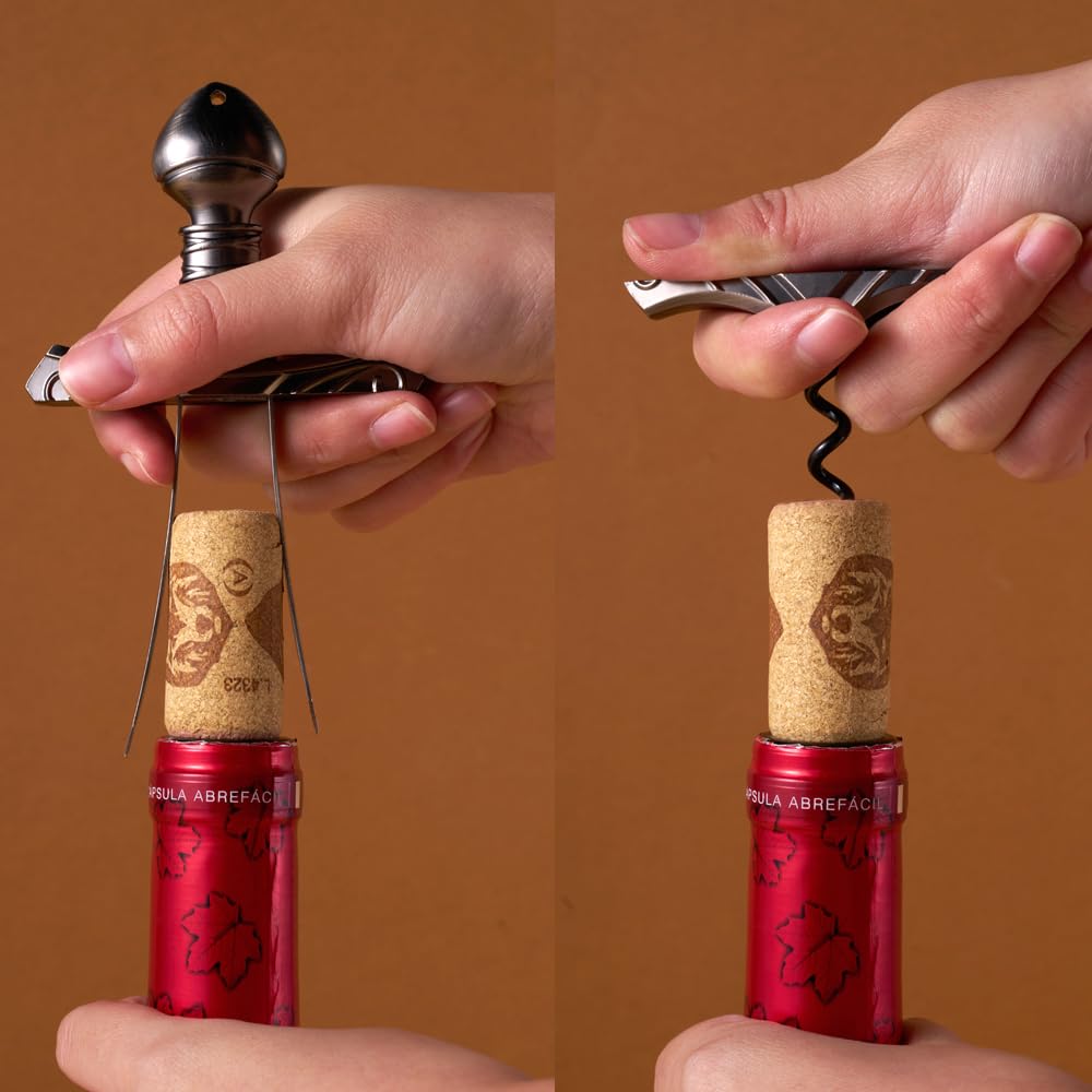 2-in-1-Weinöffner für alte und zerbrechliche Korken, Zweispitze Korkzug für gealterte Weine, Krümelfreie Korkenentfernung, Dekoratives Ornament des Schwertes im Stein.