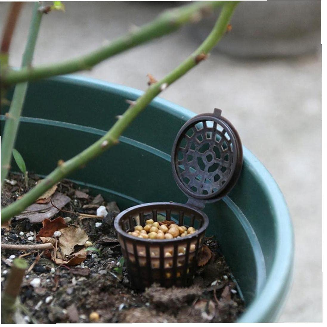 Paniers D'engrais De Bonsai avec Couvercle Boîte Engrais 20pcs Outil De Bonsaï