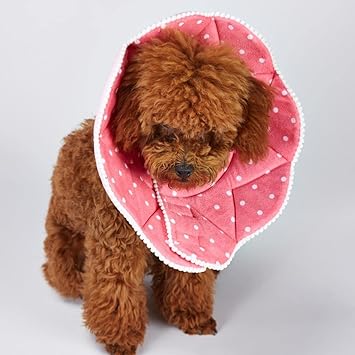 Meri Shopp Pet Cone Recovery E-Collar for Cats Dogs Anti-Bite Elizabethan Collar Pink S