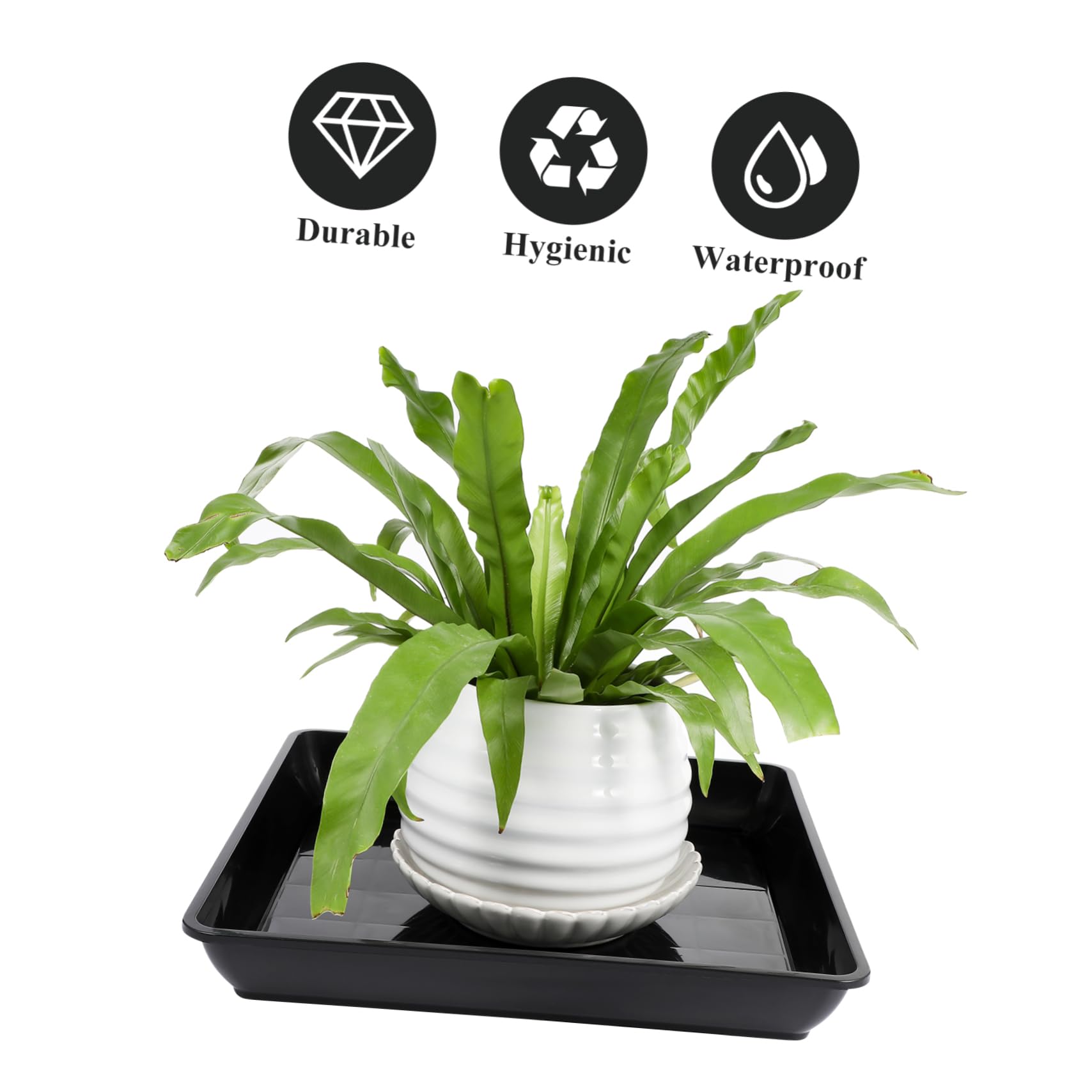 BESPORTBLE Square Plant Saucer: 2Pcs Plastic Plant Pot Tray Large Planters, Flower Tree Pot Saucers - Image 2