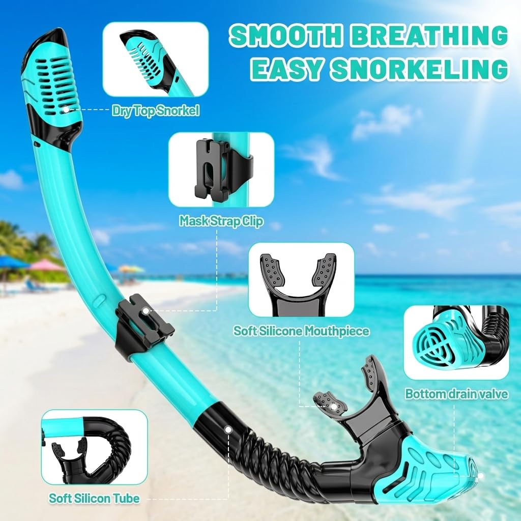 Schnorchel-Set Erwachsene 180° Panorama Sichtfeld Anti-Beschlag Taucherbrille Erwachsene für Strandurlaub Schnorcheln Wassersport, Schnorchelmaske mit Schnorchel inkl. Tasche Nasenklipp Ohrstöpsel