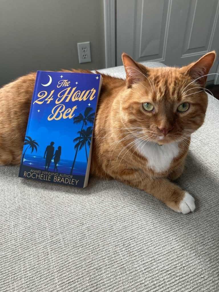 The 24 Hour Bet A Spicy Second Chance, Billionaire, Exotic Destination