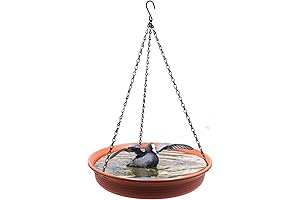 Together-life 12" Drinking Bird Bath Tray