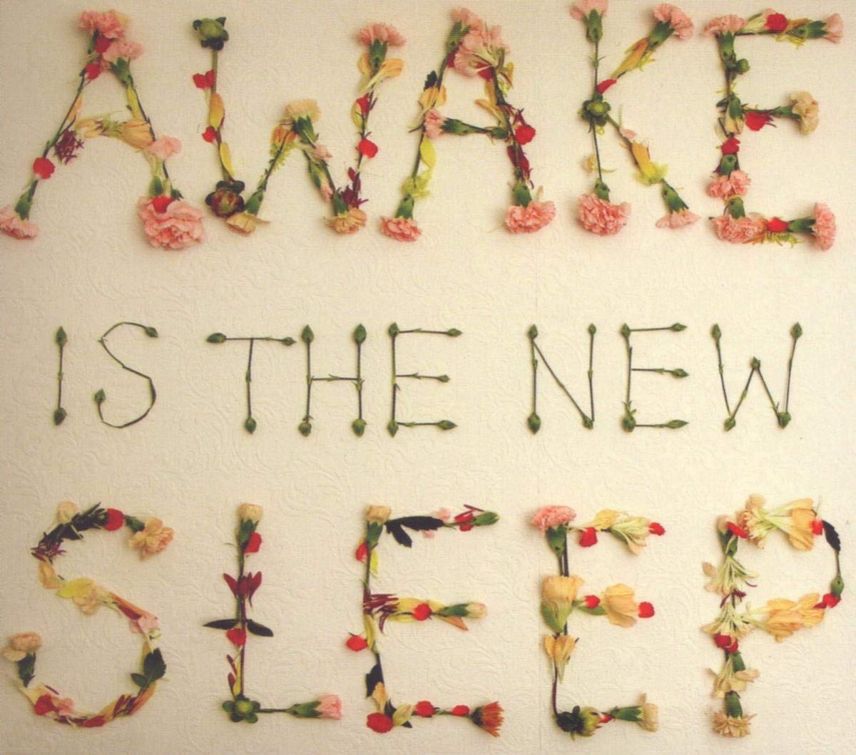 Awake Is The New Sleep [Audio CD] Ben Lee