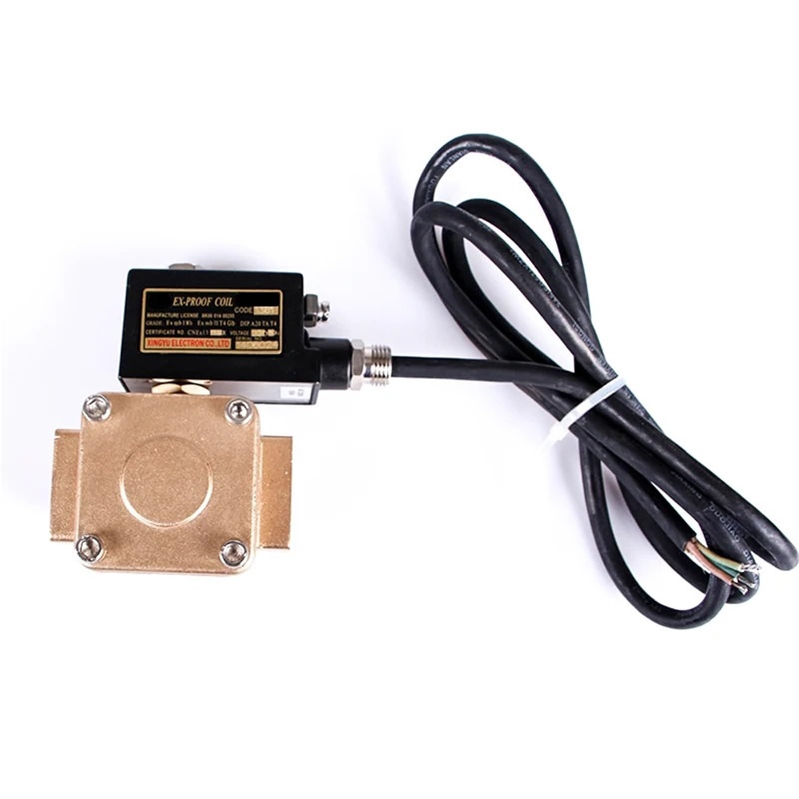 DN25 High Pressure Explosion Proof Solenoid Valve Brass IP65 Normally Closed 1.6Mpa AC220V DC24V for Water Oil Air(AC220V)